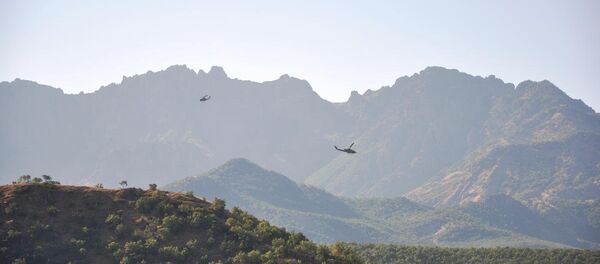 Tunceli'de operasyon - Sputnik Türkiye