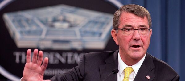 Ashton Carter - Sputnik Türkiye