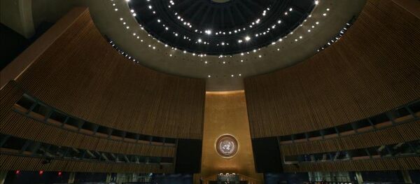 BM Genel Kurulu // AA, Cem Özdel - Sputnik Türkiye