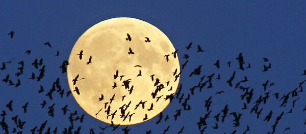 Kanlı Ay - Sputnik Türkiye