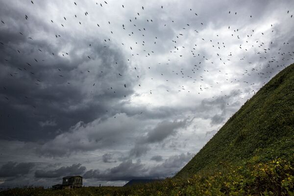 Ohotsk Denizi kıyısında terk edilmiş evin üzerinde martılar. - Sputnik Türkiye