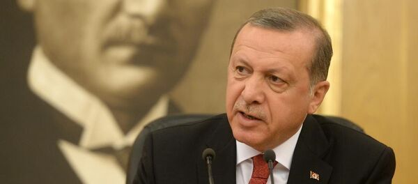 Recep Tayyip Erdoğan - Sputnik Türkiye