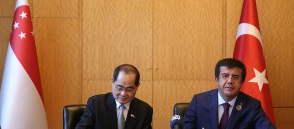 Ekonomi Bakanı Nihat Zeybekci (sağda) ile Singapur Ticaret ve Sanayi Bakanı Lim Hng Kiang (solda) - Sputnik Türkiye