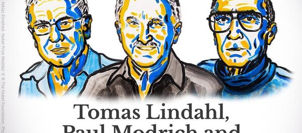 Nobel Kimya Ödülü 2015 - Sputnik Türkiye