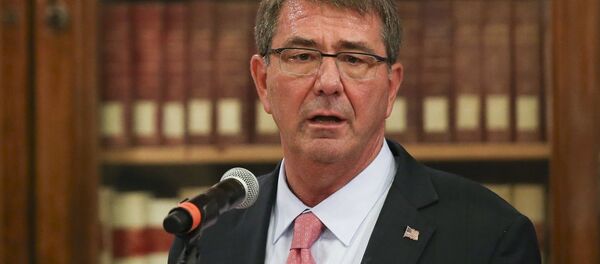 Ashton Carter - Sputnik Türkiye