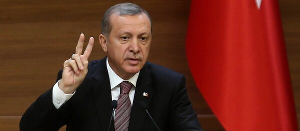 Cumhurbaşkanı Recep Tayyip Erdoğan - Sputnik Türkiye