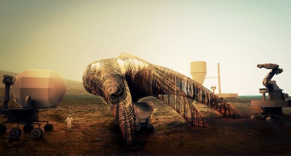 Marst'ta uzay ev projesi - Sputnik Türkiye