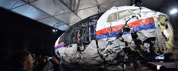 Hollanda, Malezya Hava Yolları'na ait MH17 sefer sayılı yolcu uçağı ile ilgili raporunu açıkladı - Sputnik Türkiye