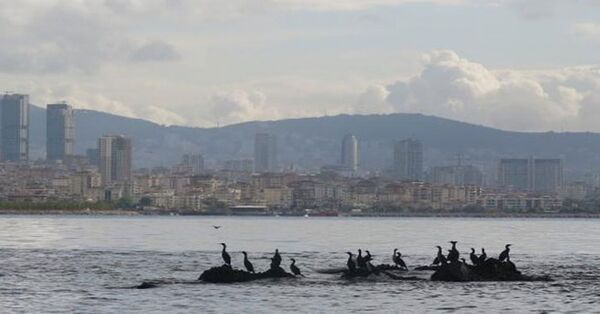 İstanbul'un kayıp adası gün yüzüne çıkartılıyor - Sputnik Türkiye