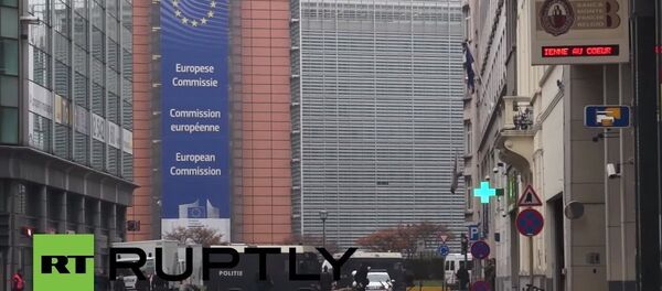 Brüksel’de TTIP protestosu Brüksel’de TTIP protestosu - Sputnik Türkiye