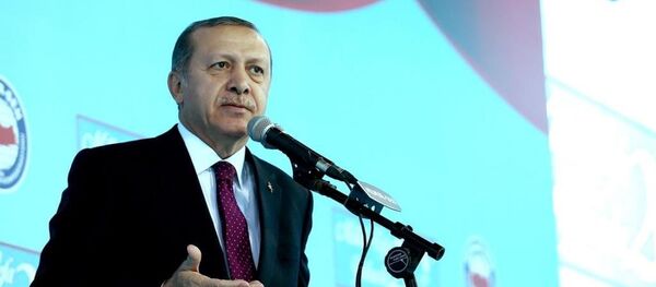Cumhurbaşkanı Recep Tayyip Erdoğan - Sputnik Türkiye