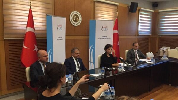 Türkiye'nin G20 Şerpası Ayşe Sinirlioğlu, G20 Antalya Zirvesi öncesinde Türk basınını bilgilendirdi. - Sputnik Türkiye