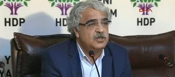 HDP Mardin Milletvekili Mithat Sancar - Sputnik Türkiye