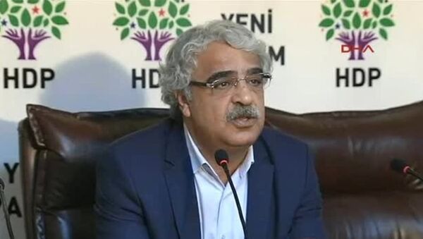 HDP Mardin Milletvekili Mithat Sancar - Sputnik Türkiye
