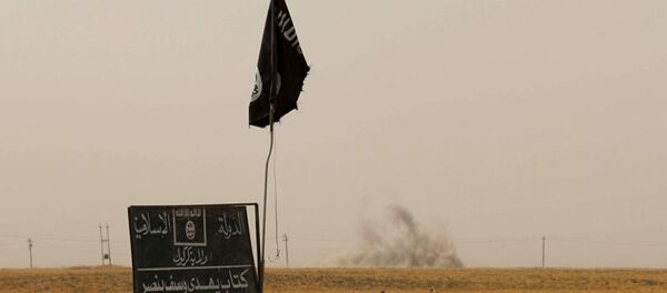 IŞİD - Sputnik Türkiye