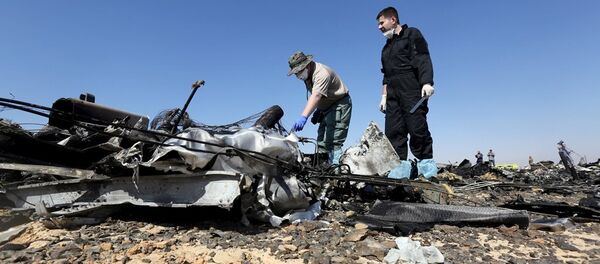 Mısır'da düşen Rus uçağı - Sputnik Türkiye