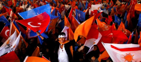 1 Kasım seçimi - Sputnik Türkiye