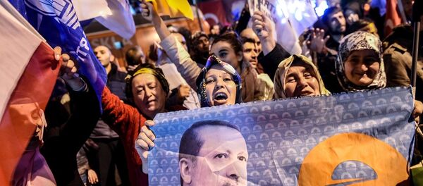 1 Kasım seçimi - Sputnik Türkiye