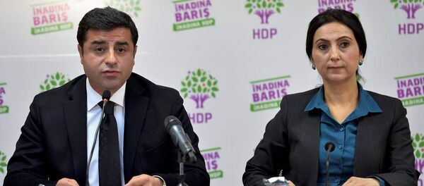 1 Kasım seçimi - Sputnik Türkiye