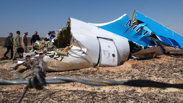 Airbus A321 kazası - Sputnik Türkiye