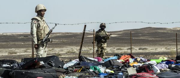 Sina Yarımadası'nda düşen Rus yolcu uçağı - Sputnik Türkiye