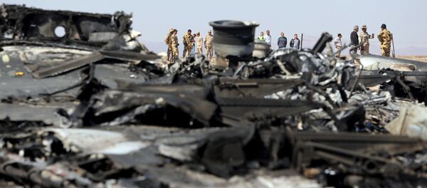 Sina Yarımadası'nda düşen Rus yolcu uçağı - Sputnik Türkiye