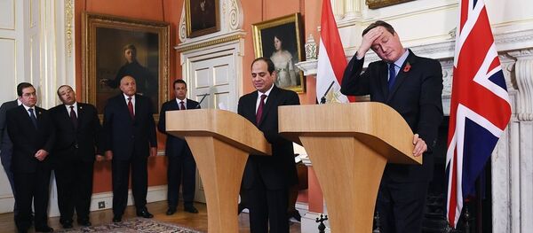 Mısır Cumhurbaşkanı Abdulfettah El Sisi - İngiltere Başbakanı David Cameron - Sputnik Türkiye