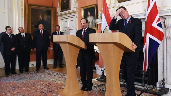 Mısır Cumhurbaşkanı Abdulfettah El Sisi - İngiltere Başbakanı David Cameron - Sputnik Türkiye