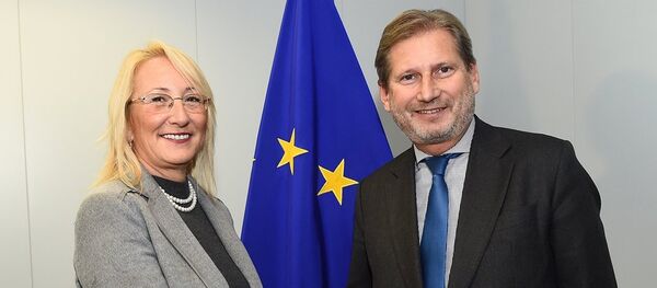 Beril Dedeoğlu - Johannes Hahn - Sputnik Türkiye