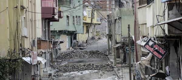 Diyarbakır - Silvan - Sputnik Türkiye