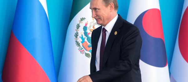 Vladimir Putin - Antalya G20 Zirvesi - Sputnik Türkiye