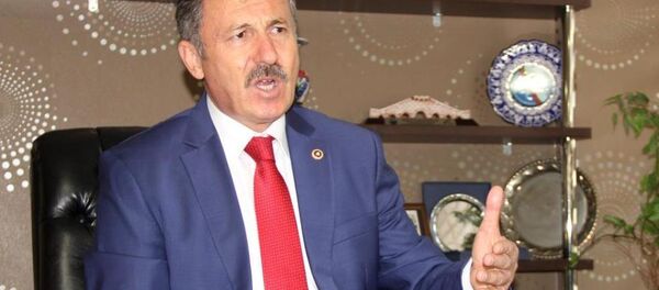 Selçuk Özdağ - Sputnik Türkiye