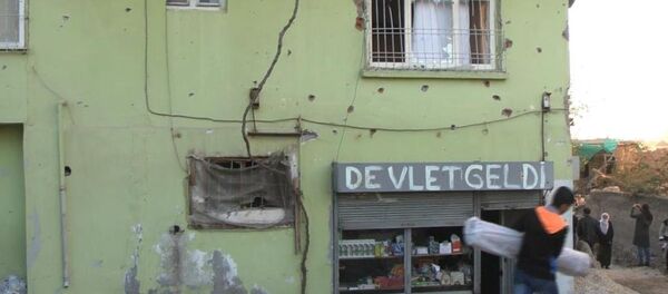 Silvan'daki duvar yazılarına inceleme - Sputnik Türkiye