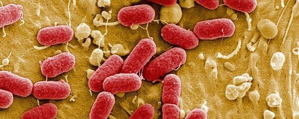 Antibiyotiklere dirençli 'süper bakteri geni' bulundu. - Sputnik Türkiye