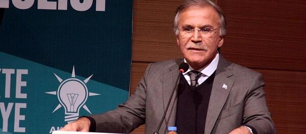 AK Parti Genel Başkan Yardımcısı Mehmet Ali Şahin - Sputnik Türkiye