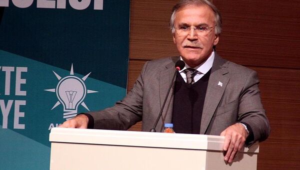 AK Parti Genel Başkan Yardımcısı Mehmet Ali Şahin - Sputnik Türkiye