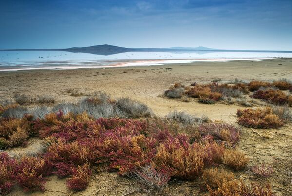 Kırım'daki Koyaş Gölü - Sputnik Türkiye