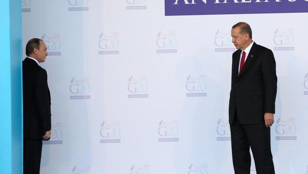 Putin ve Erdoğan, son olarak G20 Zirvesi kapsamında Antalya'da bir araya gelmişti. - Sputnik Türkiye