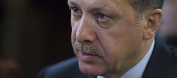 Recep Tayyip Erdoğan - Sputnik Türkiye