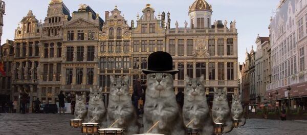 Belçika - Sputnik Türkiye