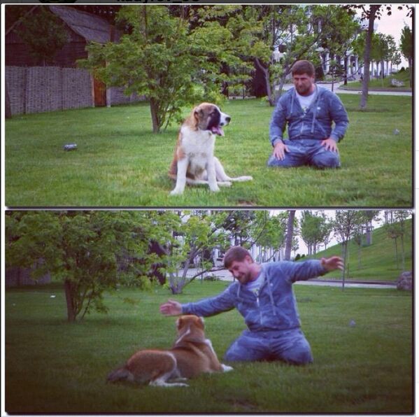 Kadirov ile köpeği - Sputnik Türkiye