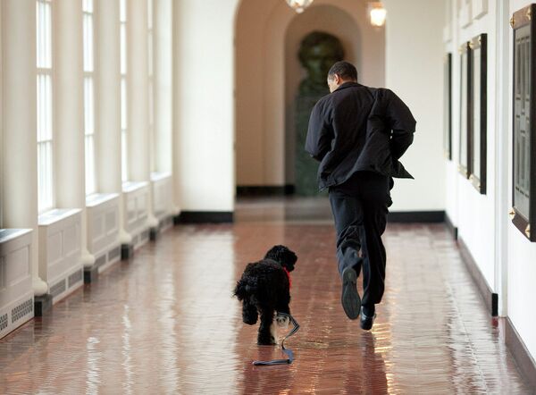 Obama ile köpeği - Sputnik Türkiye