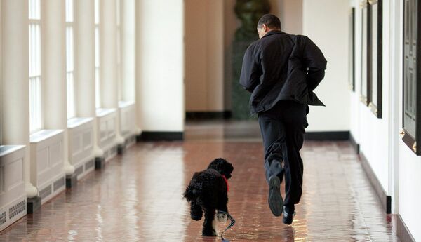 Obama ile köpeği - Sputnik Türkiye