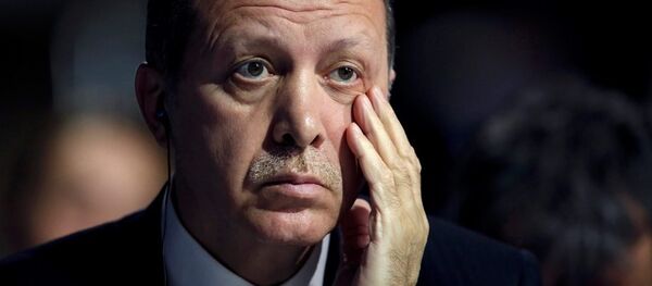 Cumhurbaşkanı Recep Tayyip Erdoğan - Sputnik Türkiye