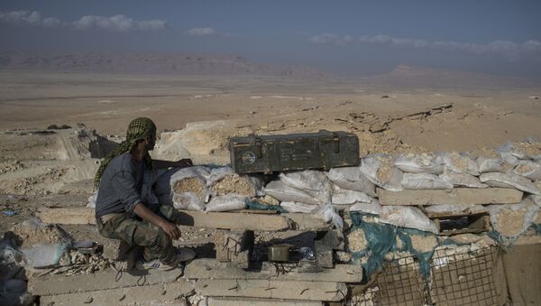 Hizbullah savaşçısı, Palmira’ya 20 kilometre batısında bulunan gözlem noktasında. - Sputnik Türkiye