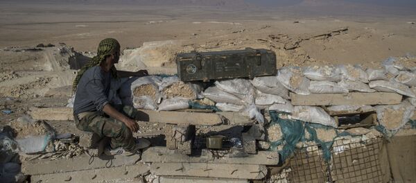 Hizbullah savaşçısı, Palmira’ya 20 kilometre batısında bulunan gözlem noktasında. - Sputnik Türkiye