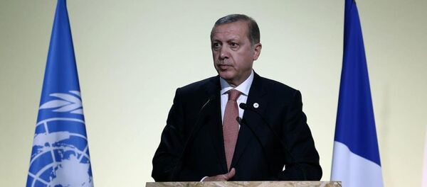 Cumhurbaşkanı Recep Tayyip Erdoğan - Sputnik Türkiye