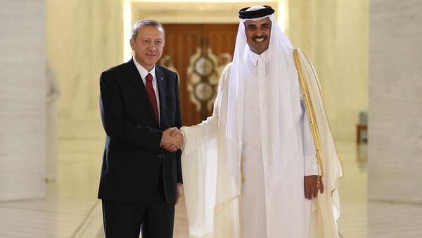 Cumhurbaşkanı Recep Tayyip Erdoğan ve  Katar Emiri Şeyh Tamim Bin Hamad Al Thani - Sputnik Türkiye