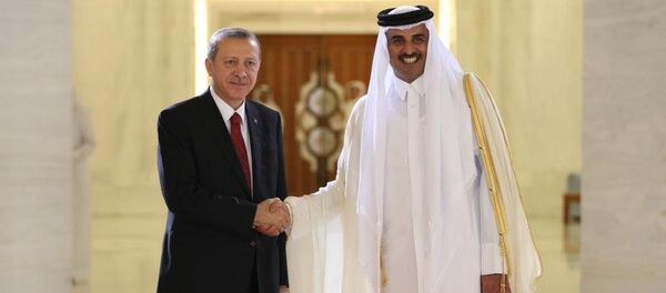 Cumhurbaşkanı Recep Tayyip Erdoğan ve  Katar Emiri Şeyh Tamim Bin Hamad Al Thani - Sputnik Türkiye