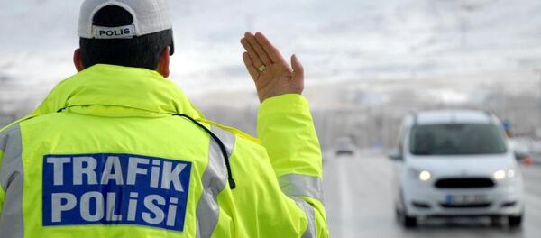 Trafik polisi - Sputnik Türkiye